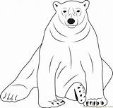 Bear Sloth Coloring Pages Coloringpages101 Printable sketch template