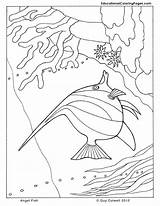 Coloring Pages Seashore Fish Angel Animal Sea Kids Drawings Drawing Book Two Ocean Getdrawings Choose Board Zentangle Designlooter sketch template