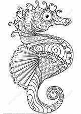 Seahorse Zentangle sketch template