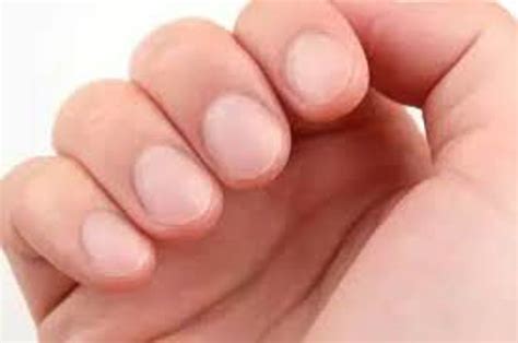 matura salon spa salon spa management fingernail trim