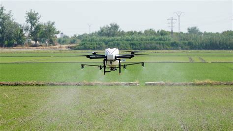 agriculture drones displace traditional farming methods quaternium