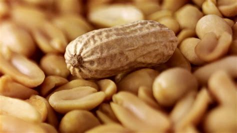 pill   peanut allergies abc news