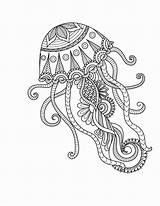 Animal Momjunction Malvorlagen Mandalas Quallen Jellyfish Zentangle sketch template