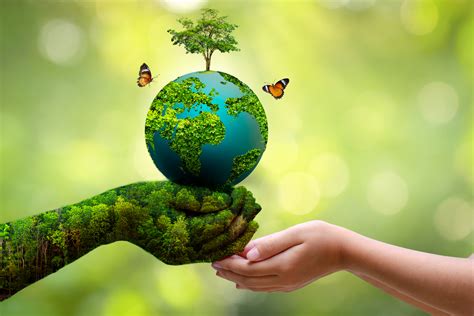 world environment day protect  environment  health