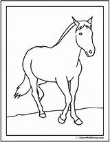 Horse Coloring Printable Pages Clydesdale Colt Color Morgan Print Young Riding Getcolorings Colorwithfuzzy Head sketch template