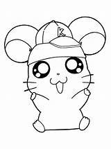 Coloring Pages Hamster Hamsters Visit Adopt sketch template
