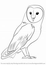 Owl Barn Drawing Draw Outline Simple Step Drawings Birds Owls Easy Rare Bird Cute Learn Animal Google Pencil Drawingtutorials101 Tutorial sketch template