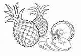 Ananas Colorare Abacaxi Disegni Frutas Coloring Dibujos Obst Piña Colorkid Frutta Bambini Desene Malvorlagen Kolorowanki Coloriages Natürliche sketch template