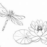 Pond Dragonfly sketch template