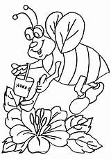 Coloring Honeycomb Honey Pages Getcolorings Beehive Color Bee sketch template