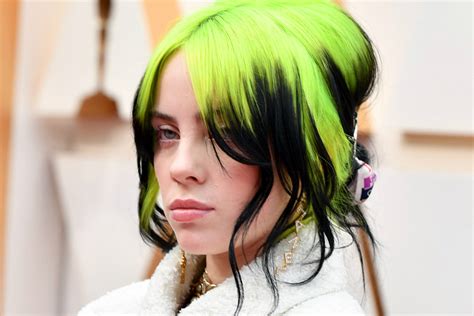 billie eilish  restraining order  obsessed fan