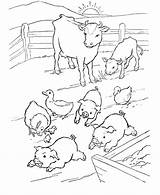 Coloring Farm Pages Animals Animal Kids Color Colour Pig Crew Cut Clipart Popular Template Coloringhome Library sketch template
