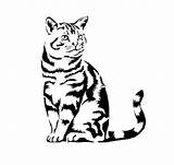 Stencils Stencil Cat Templates Crafts Scrapbooking 3b A4 Mylar sketch template