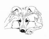 Sheltie Coloring Sheepdog Drawing Shetland Pages Dog Drawings Tattoo Dogs Collie Colouring Retouch Visit Fine Tattoos Printablecolouringpages Getdrawings 19kb 720px sketch template