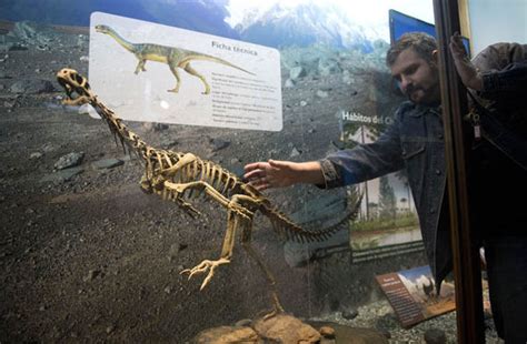 Could This Bizarre Dinosaur Be The Missing Link Between