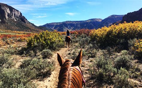 colorado horseback riding fun   rocky mountains