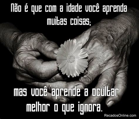 idosos imagens  gifs  frases  whatsapp