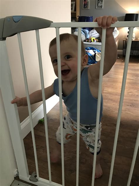 little dude is impressed with his new gate until he sees