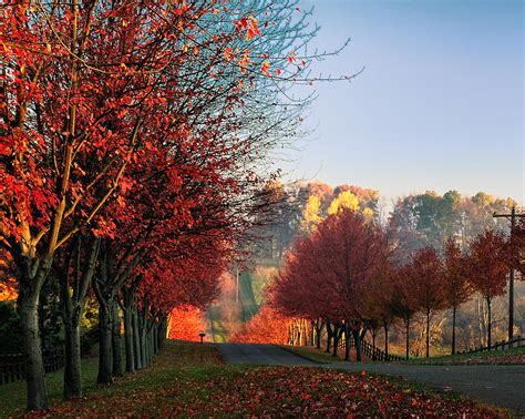 autumn ohio roads photograph by dick wood fine art america