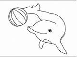 Dolphin Coloring Pages Color Cute Dolphins Template Print Colour Printable Book Drawing Animals Templates Sheets Jump Delfin Ball Water Cartoon sketch template