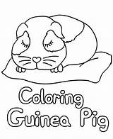 Pig Guinea sketch template