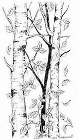 Northwoods Pyrography sketch template