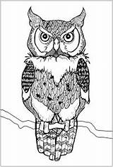 Hibou Colorear Owls Gufo Gufi Hiboux Buhos Eulen Erwachsene Adulti Animali Disegno Malbuch Justcolor Eule Fur Coloriages Scaricare Colouring Enfants sketch template