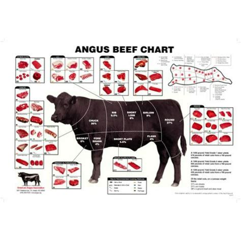angus beef chart meat cuts diagram poster walmartcom