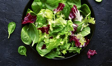 romaine lettuce recipe nutrition precision nutritions encyclopedia