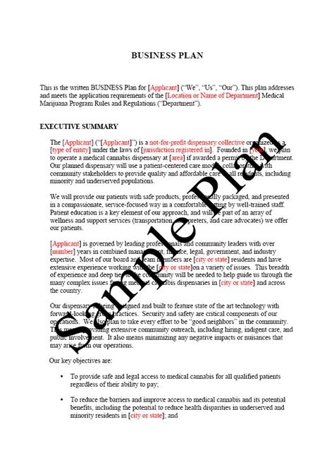 health care business plan examples