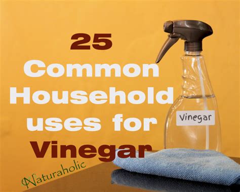 common household   vinegar   shock  naturaholic
