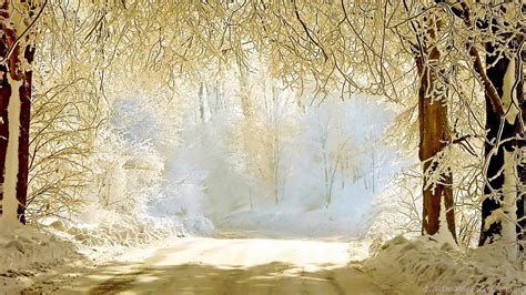 30 beautiful winter wallpapers backgrounds images desktop background