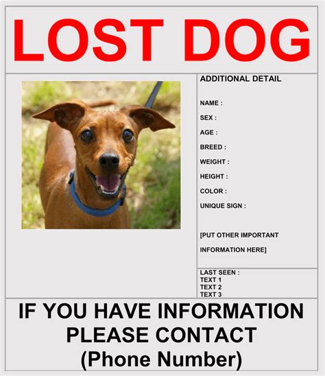 printable lost pet flyer tara blog