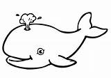 Whale Coloring Pages Blue Printable Kids Colouring Jonah sketch template