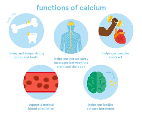 calcium foods functions how much do you need and more eufic