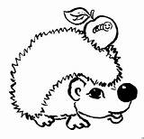 Igel Wurm Apfel Frisch Grundschule Genial Fotografieren Malvorlage Einhorn Pummel Ausmalbild Hedgehog sketch template