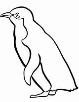 Pinguino Pinguin Ausmalen Colorare Silueta Pingüino Disegno Penquin Ausmalbilder Siluetas Ausmalbild Piccolo Pinguini Pinguine Webstockreview Ausdrucken Kostenlos sketch template