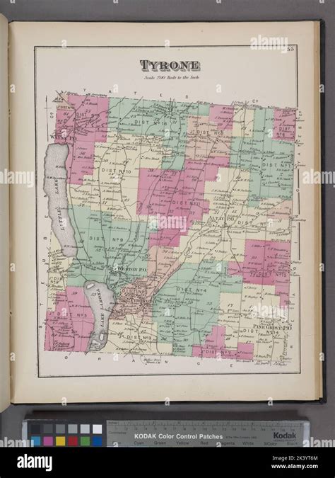 Tyrone Township Cartographic Atlases Maps 1874 Lionel Pincus And