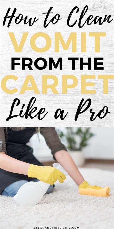 cleaning vomit   carpet properly deep clean clean  tidy