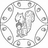 Malvorlagen Tiere Eichhornchen Waldtiere Eichh Tieren Eichhörnchen Fledermaus Nchen Malvorlagentv sketch template