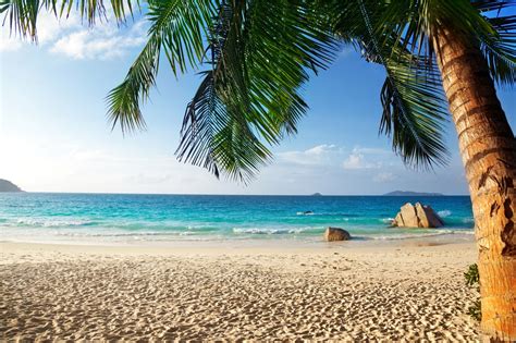banco de imagenes  fotos de playas tropicales  agua cristalina sol palmeras  arenas