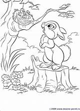 Desene Disney Coloring Pages Iepurasi Colorat Kids Bunny sketch template
