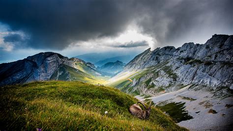 mountain landscape  ultra hd wallpaper  background image