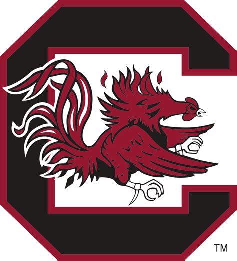 university  south carolina colors team logo