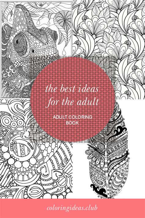 information    ideas   adult adult coloring book