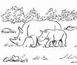Rhino Rinoceronte Samanthasbell sketch template