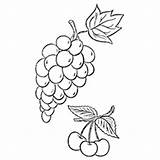Coloring Pages Grapes Grape Color Vine Printable Strawberry Lovely Drawing Getcolorings Getdrawings Form sketch template