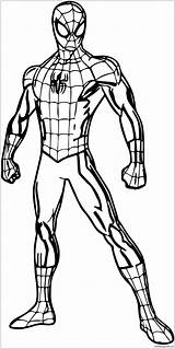 Spider Man Pages Spiderman Coloring Drawing Colouring Pose Superhero Sketch Color Printable Kids Halloween Body Sheets Print Marvel Hulk Ultimate sketch template