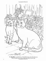 Coloring Dover Book Cat Amazon Pages Books Lovers Nature sketch template