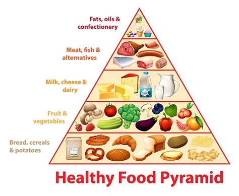 healthy food pyramid educational chart  vector art  vecteezy